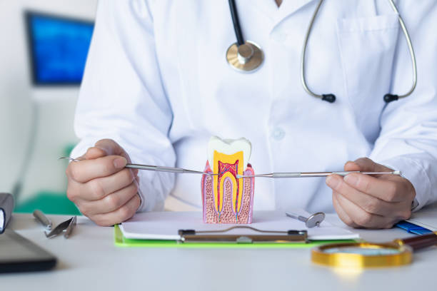 Best Emergency TMJ Treatment in Terville, WA